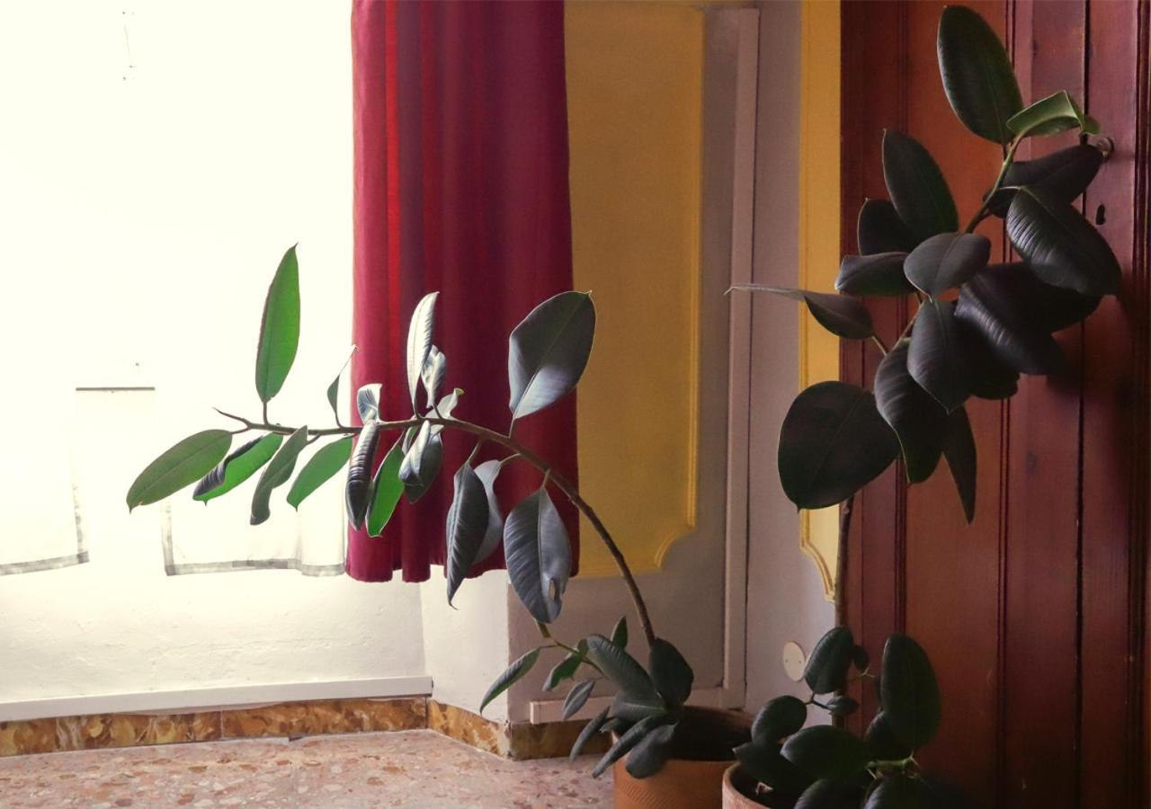 Retro B&B Pisa Eksteriør billede